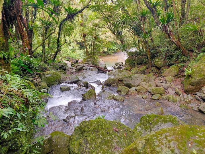 【桃園文選】一彈指,竟已這種年歲 5 6