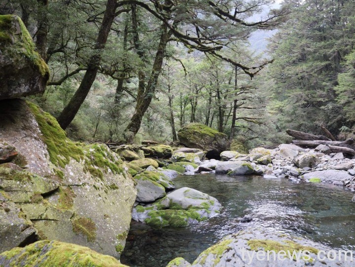 【桃園文選】美麗的合歡山 5 8