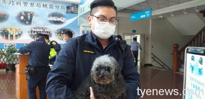 黑貴賓迷途路邊發呆 埔子派出所暖警PO網協尋飼主 587032