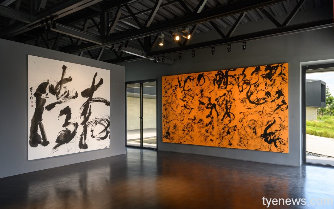 桃美館首度展示捐贈典藏 精選5位藝術家原件作品 5 4