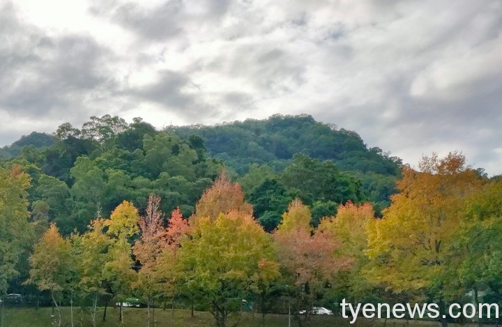 【桃園文選】白石山 6 3 8
