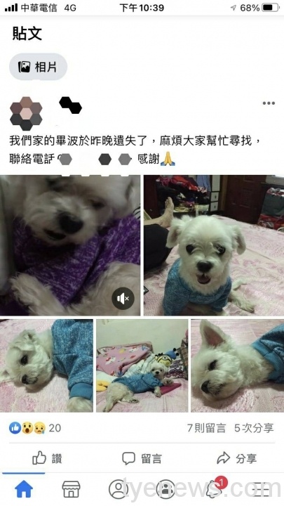 毛小孩迷途街上徘徊 大樹派出所助重回主人懷抱 618017 scaled 1