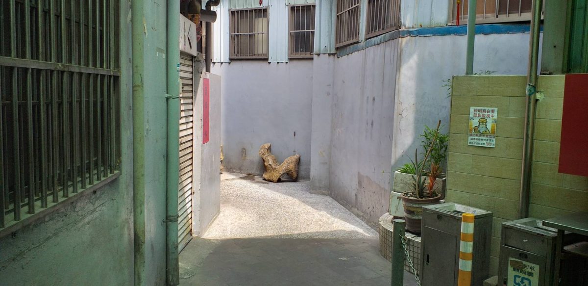 【有片】精神異常男徘徊巷弄嚇壞路人 武陵所加強巡邏