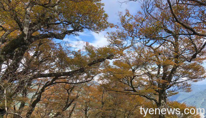 【桃園文選】幾世情緣? 7 1 8