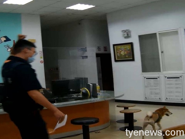 【有片】萌犬迷途「搭便車」求救 龍安所暖警助重回主人懷抱 709460 scaled 1