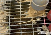 汙染河川罰不怕 余信憲:環保局開罰平均1件6萬5如何遏止