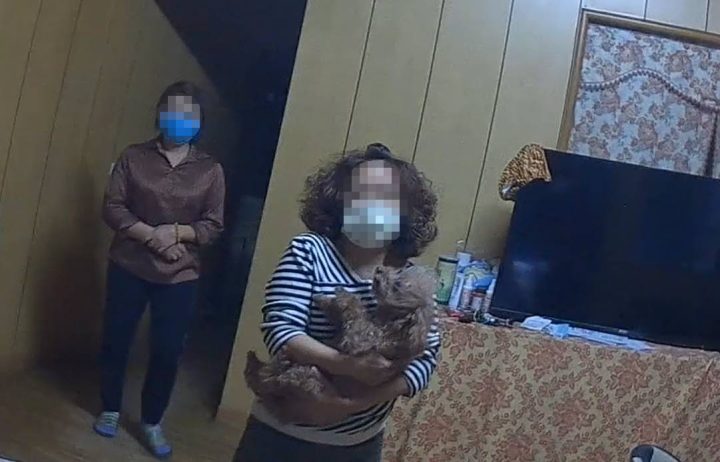 迷途狗爺爺市場逛大街 大園警PO網協尋助團圓