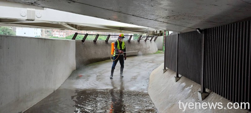 數百魚屍遭大雨沖出 慘躺南崁溪自行車道 89858