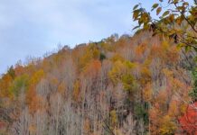 【桃園文選】霞喀羅古道
