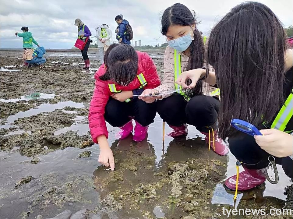 勞動部桃竹苗分署推廣地方特色行程 新屋沿海旅遊玩樂兼做公益 A永興 認識豐富藻礁生態