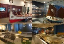 海科館「蹦世界」虛擬實境 在家也能暢遊博物館