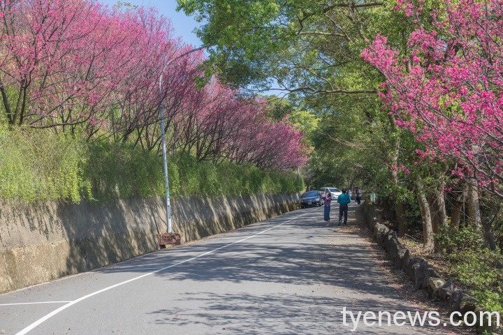 南台灣五大媽祖 駐駕壽山巖觀音寺 IMG 1122