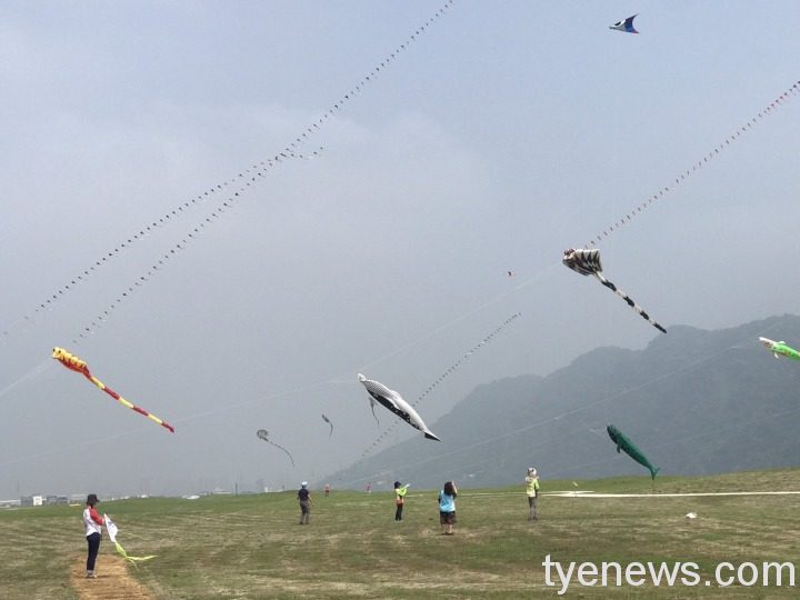 2022桃園國際風箏節 30隻鯨魚翱翔天際「放風吹」 S 11444253