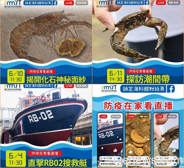 海科館推臉書直播秀 讓你在家也能倘佯大海知識 S 11894839