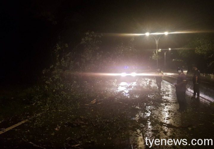 烟花颱風豪雨來襲路樹倒塌 龍潭警鋸樹交管 S 15794234