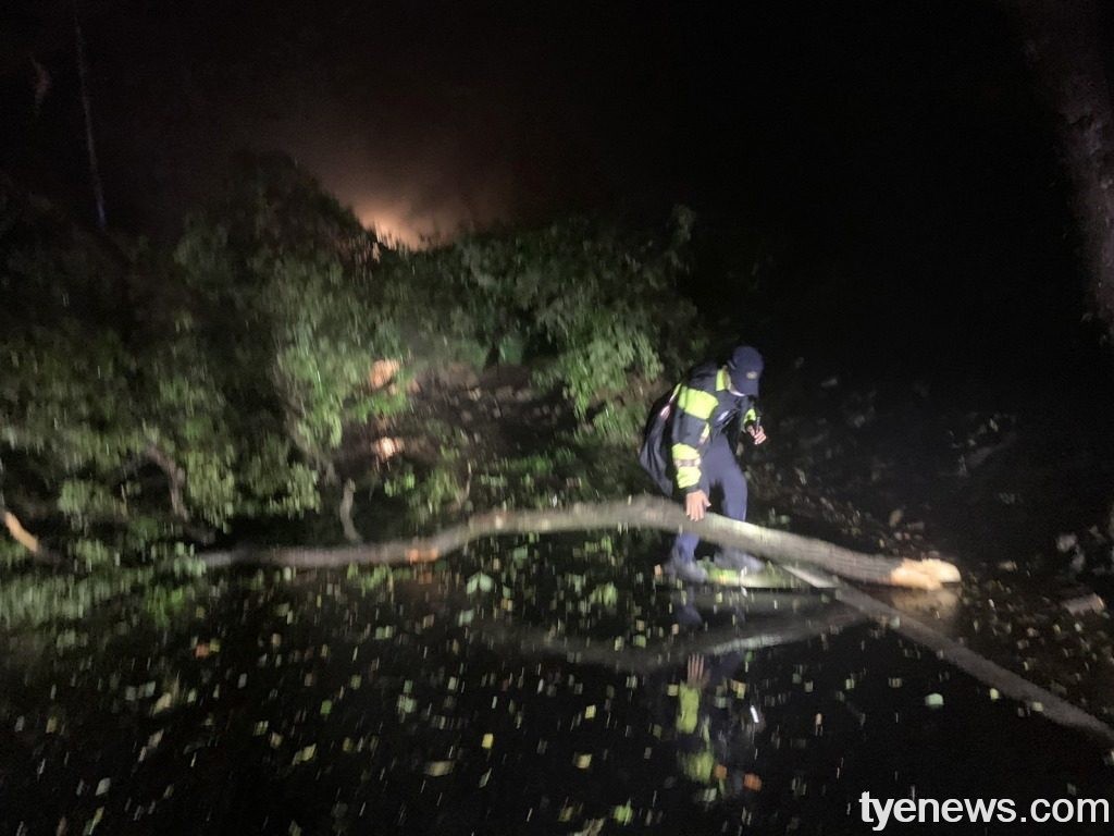 連日豪雨土石鬆動路樹倒雙向封閉 龍潭警交管排除路障