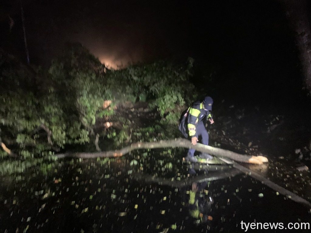 連日豪雨土石鬆動路樹倒雙向封閉 龍潭警交管排除路障 S 17949112
