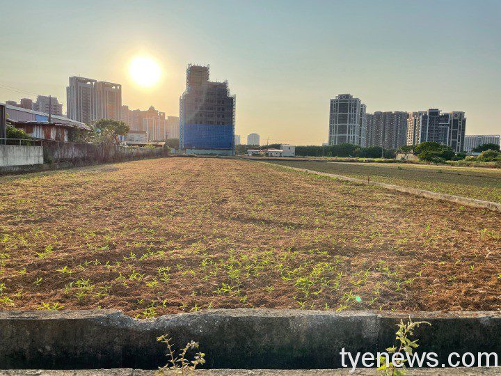 桃市342公頃農地污染整治完成 稻作復耕農民「揪感心」 S 77946915