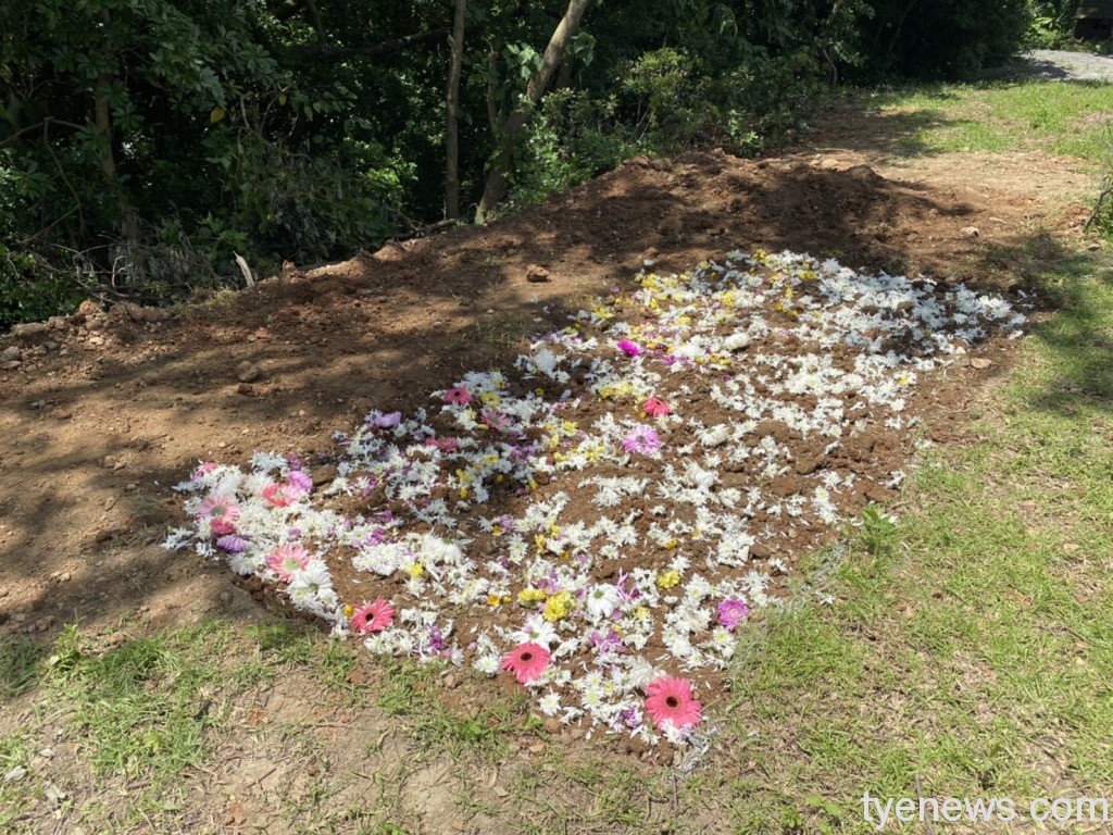 桃園楊梅區公所攜手仁愛之家舉辦樹葬回歸自然