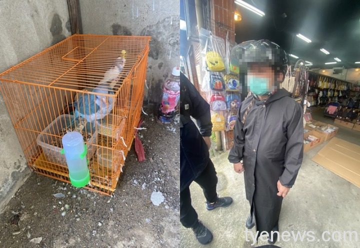 【有片】竊賊徒手抓藍和尚鸚鵡放口袋 飼主焦心求助 S 88039442