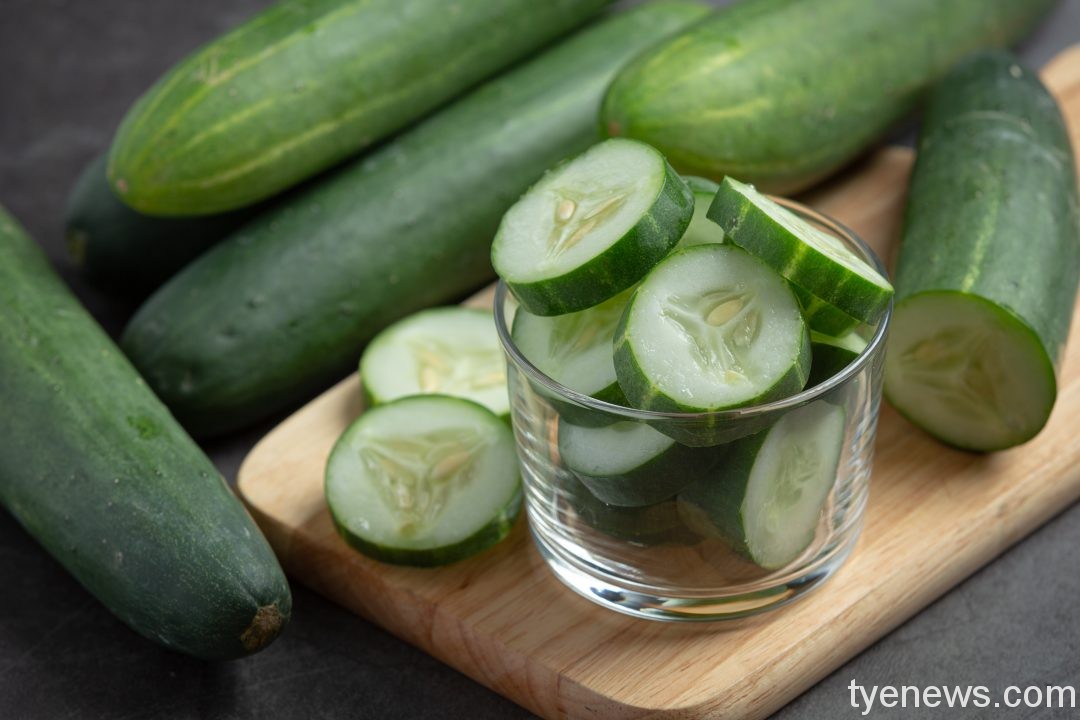 小黃瓜有3大好處!這類人要少吃 fresh cucumbers sliced dark background