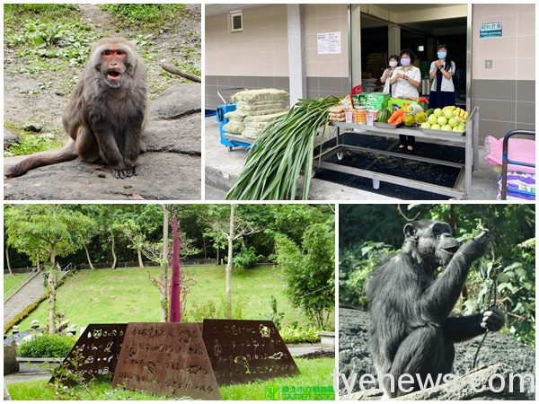 【有片】台北動物園首辦線上「慰靈祭」緬懷往生動物 page 39 1