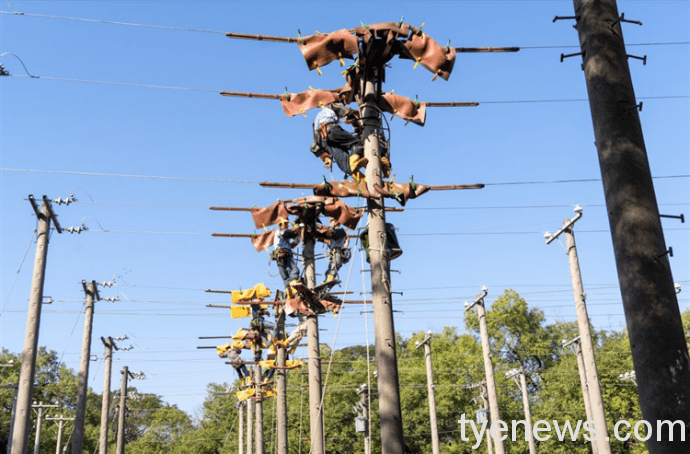 想進電力事業別錯過!台電5月再招766名僱用人員 wHandNews Image 1