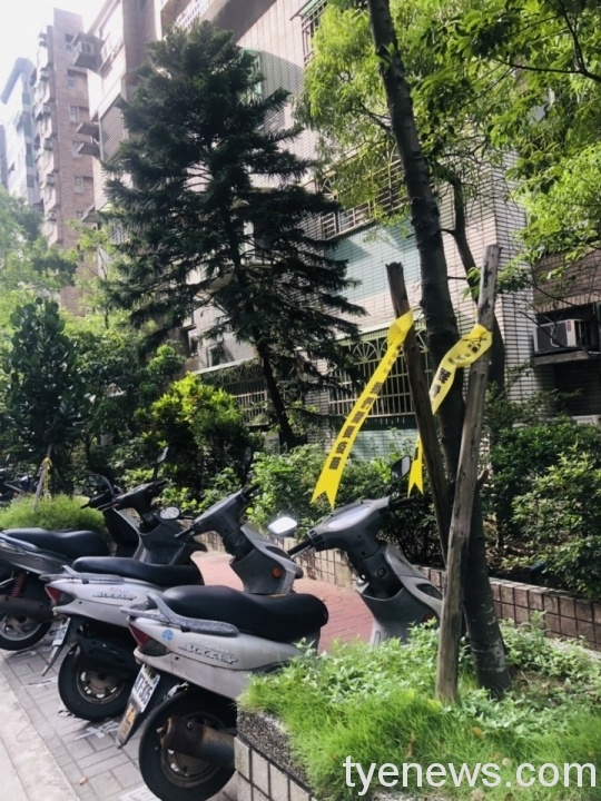 中壢區永福路一帶出現「我們需要疫苗」黃絲帶表達心聲 wp 1622979237014 scaled 1