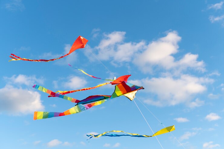 young-people-getting-their-kite-up_23-2149233218 young-people-getting-their-kite-up_23-2149233218