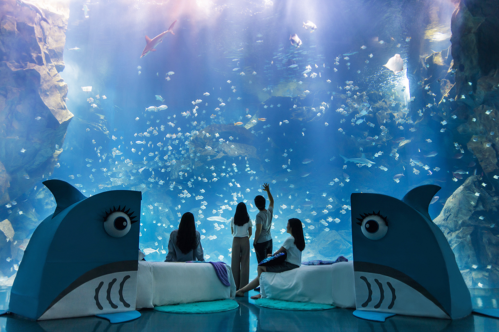 【福爾摩沙】眠區為【Blu Night宿海奇遇】熱門眠區， 亦是Xpark絕不容錯過的熱點首選