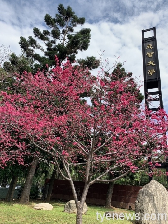 元智大學聚焦「五力」厚植校生競爭力 達成產學雙贏 元智校門 scaled 1