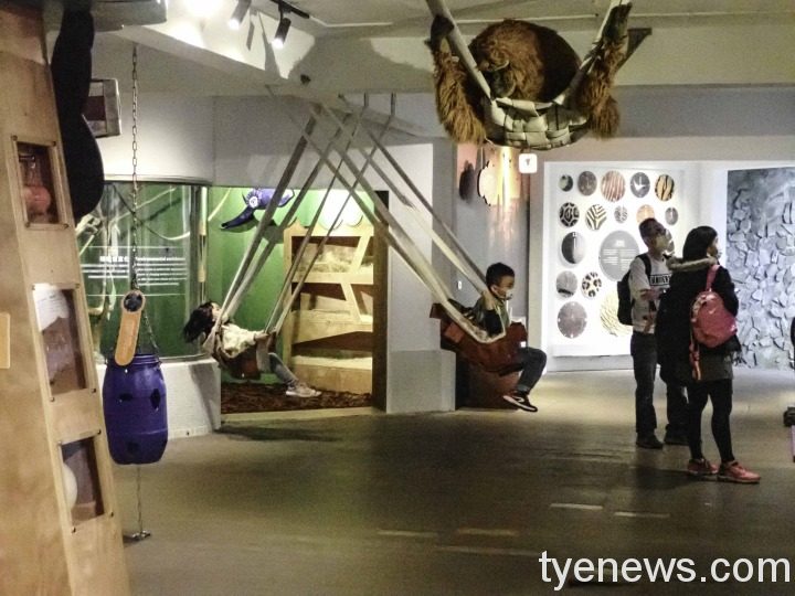 動物福祉小站希望以實體展示及體驗參與的方式，讓民眾了解動物園在維護動物福祉上的