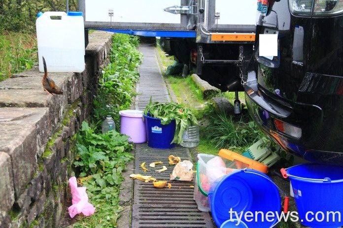 圖1.塔塔加地區停車場亂丟果皮及垃圾，引來臺灣噪眉 玉管處