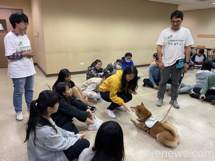 圖1_寵物治療 圖1 寵物治療