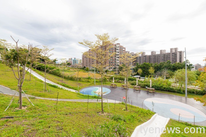 大有梯田生態公園-市府提供 大有梯田生態公園 市府提供