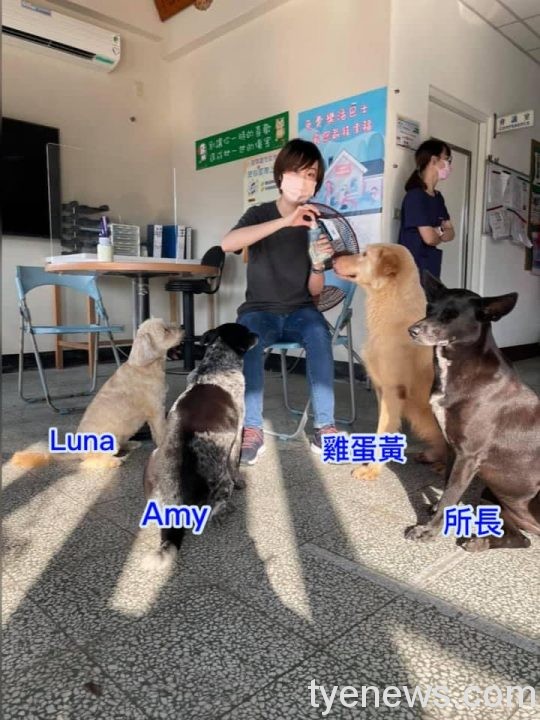 可惡至極!新屋收容所2犬雞蛋黃、所長遭毒死 警方全力緝凶 新屋小志工札記 scaled 1