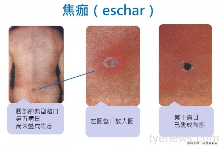 新聞稿照片1 新聞稿照片1