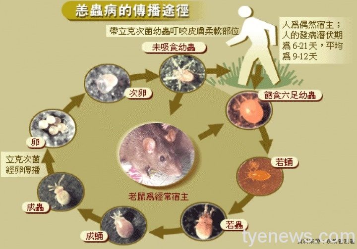 新聞稿照片2 新聞稿照片2