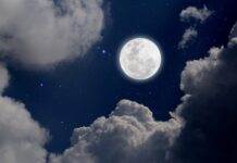 中秋節最期待烤肉、吃月餅!你知道它的由來嗎?