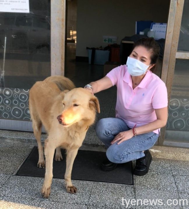 可惡至極!新屋收容所2犬雞蛋黃、所長遭毒死 警方全力緝凶 桃園市議員謝美英 scaled 1