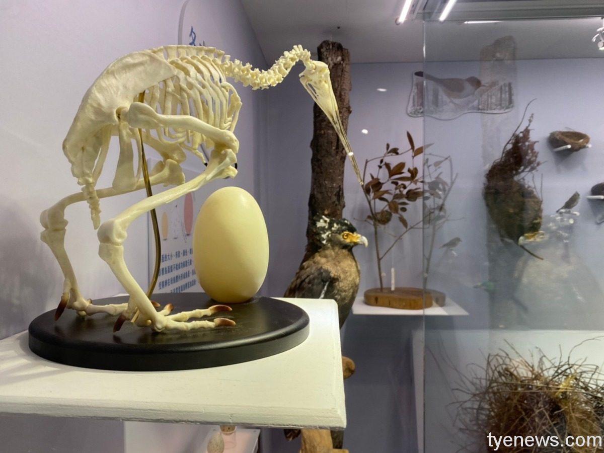 海科館母親節邀女性免費參觀主題館 楷甯拍 海有個鳥地方 220121 212 27 1