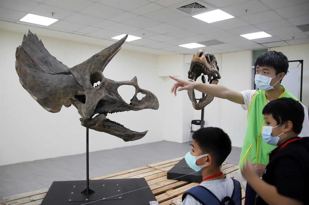 只剩2天!中央大學「恐龍與彗星展」17日結束 把握時間免費參觀 照片一 5