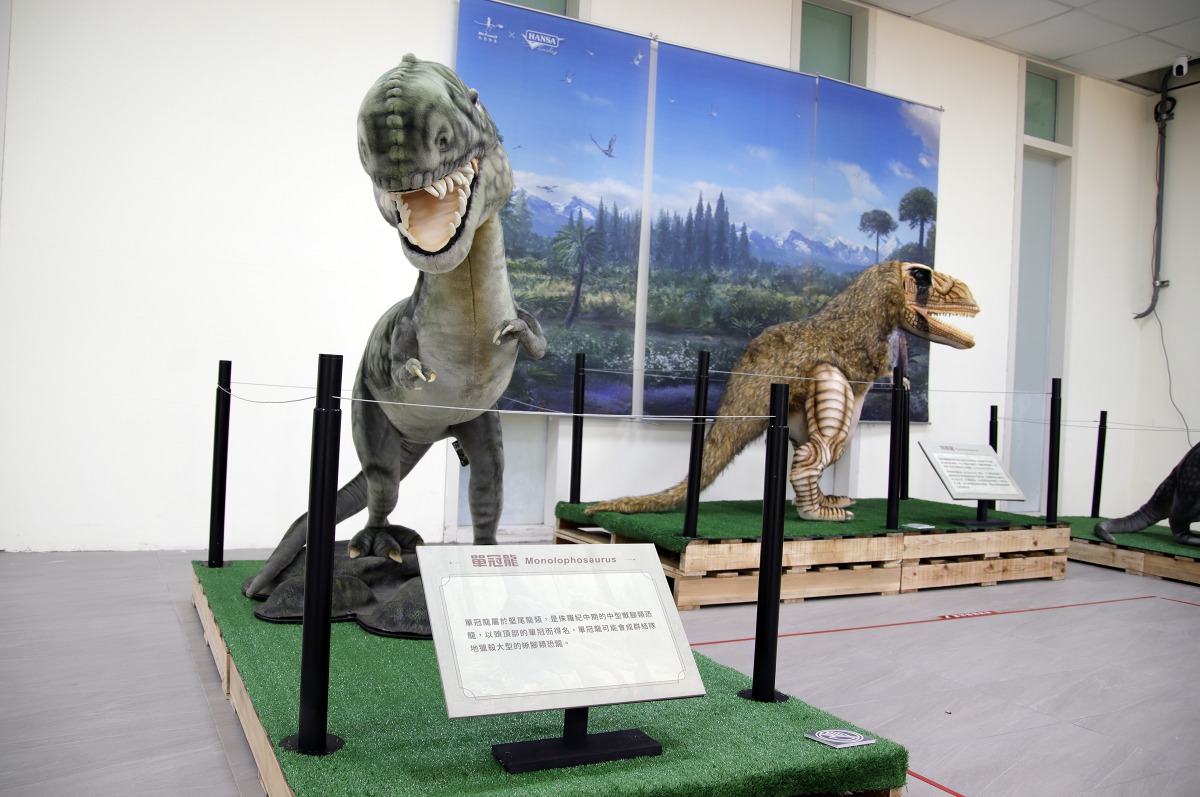 只剩2天!中央大學「恐龍與彗星展」17日結束 把握時間免費參觀 照片二 7