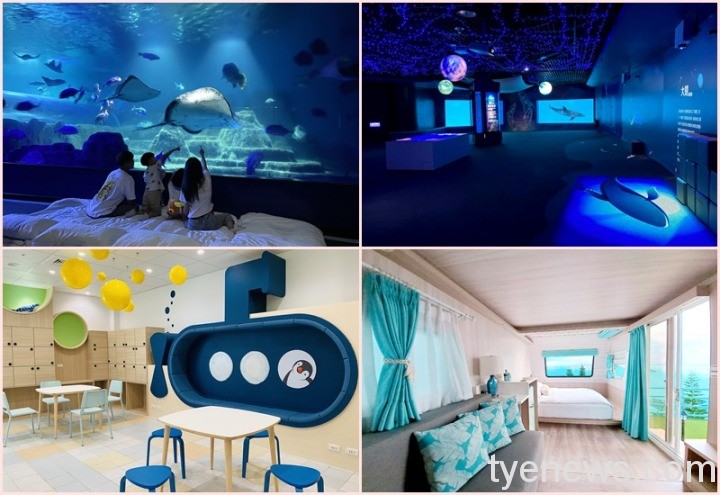 遠雄海洋公園虎年特別活動!來跟水族館魟魚、海獅共眠迎新春 童趣風淋浴休憩空間01