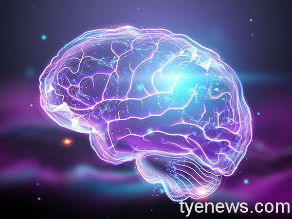 腦袋不靈光?專家:先把腸道養好。示意圖:截自pexels 腦袋不靈光?專家:先把腸道養好。示意圖:截自pexels