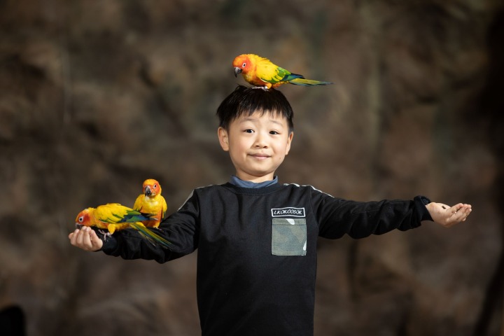 六福村推寒假專屬優惠 邀學生揪團玩起來 進入鳥禽方舟的大小朋友們在探索中能夠與飛鳥近距離互動。圖 六福村提供