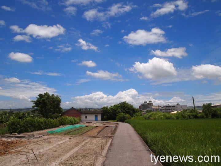 【桃園文選】享受童年夏天 鄭國雄 攝