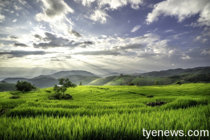 人生法則:人在屋檐下,有時要低頭 風景5529004