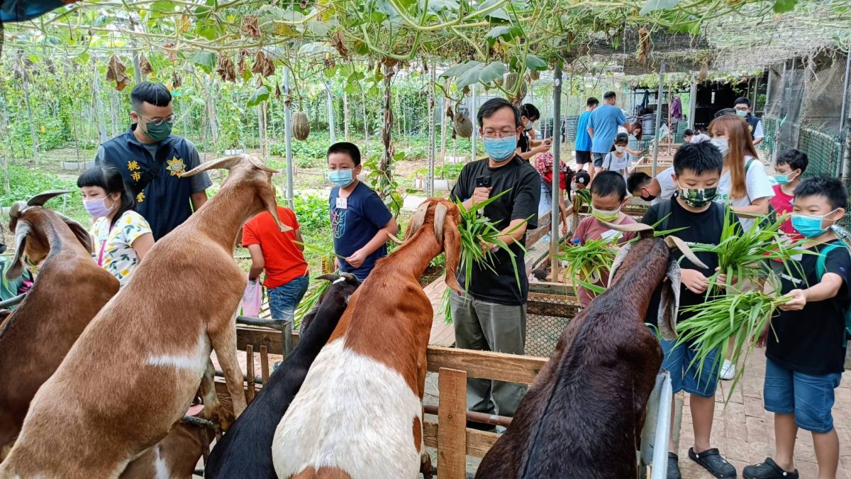 大園警執行青春專案 率學童體驗農場生活