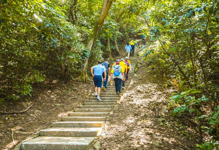 五酒桶山「自然野徑」啟用 生態工法開闢手作步道 20220731112728738